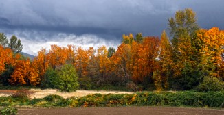 Fall and a Stormy Sky