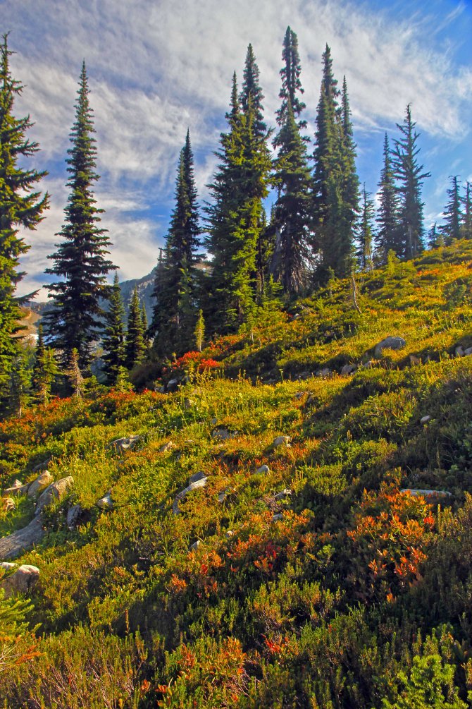 Heather Pass, Fall