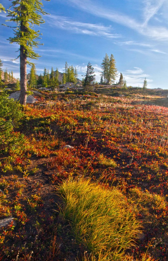 Sunrise at Cutthroat Pass