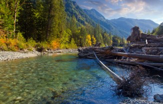 Upper Baker River Autumn Afternoon