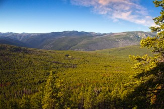 sea of trees pasayten wilderness