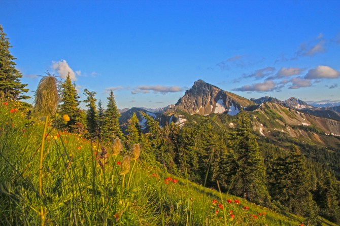 Three Fools Peak and wildflowers rev