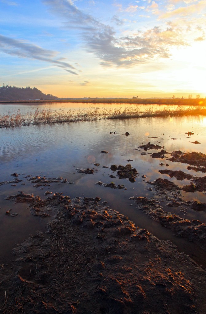 sunset water
