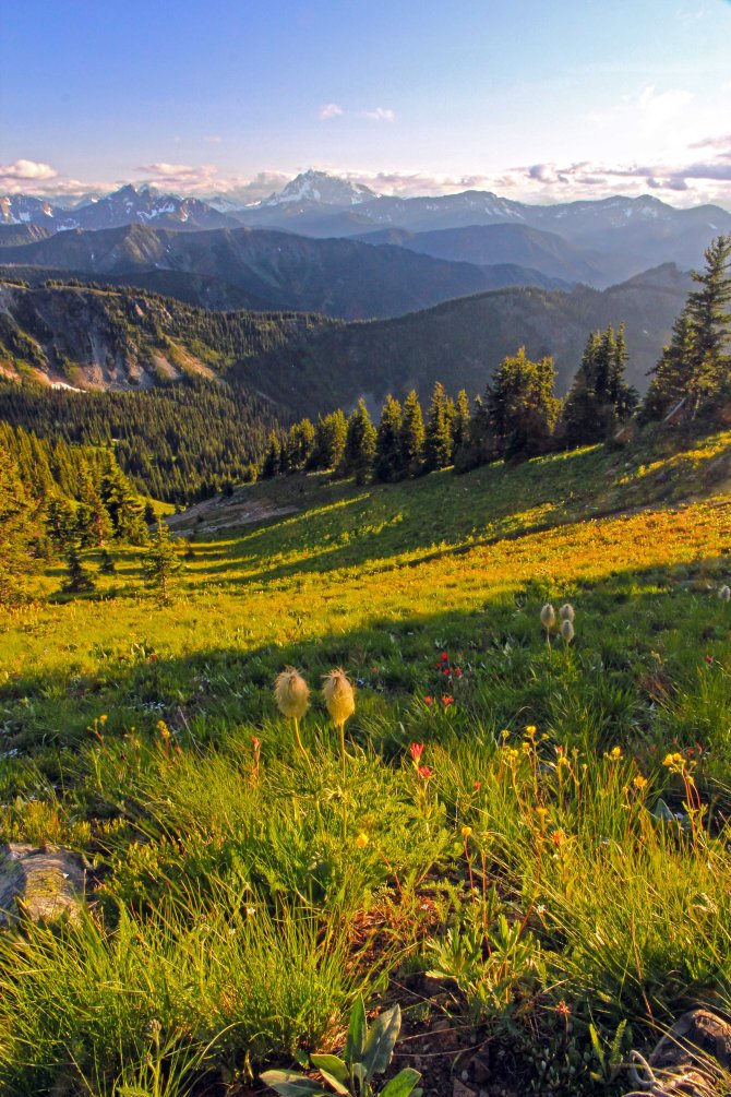 beargrassfrom lakeview ridge
