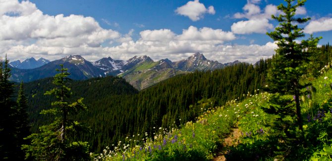 On the PCT headed to Lakeview Ridge em