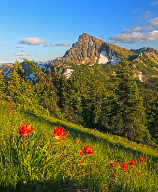 Three Fools Peak and Paintbrush 