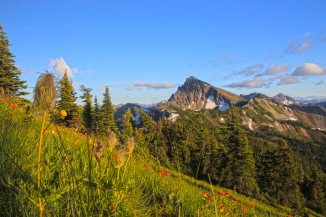Three Fools Peak and wildflowers
