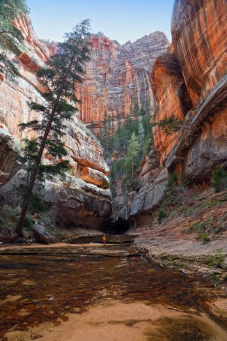 Left Fork Canyon Zion National Park