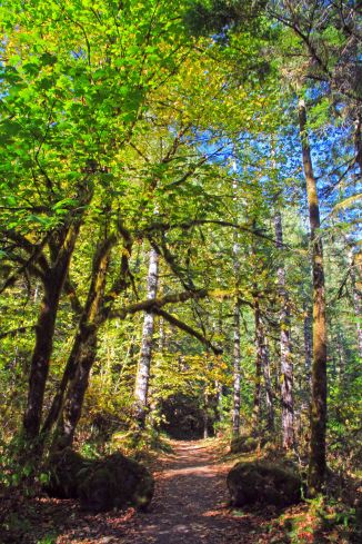 start of baker triver trail