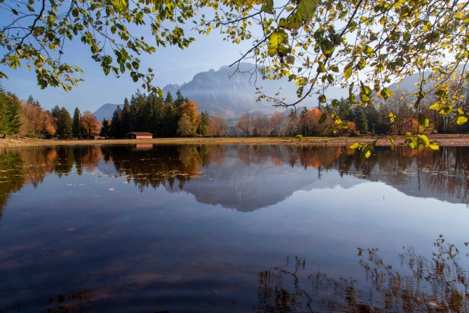 Pond along Reiter Road