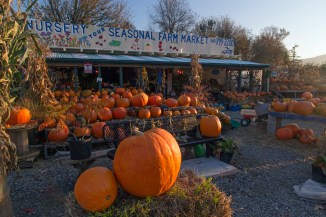 Stockings Farm Market -10