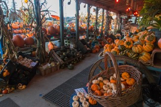 Stockings Farm Market -3