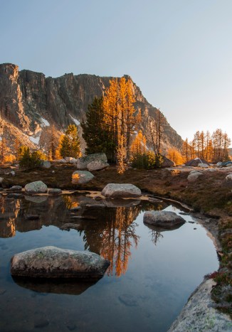 Boundary Trail larch 11 em