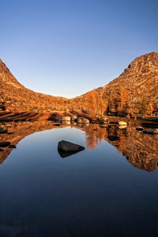 Boundary Trail larch 13 em