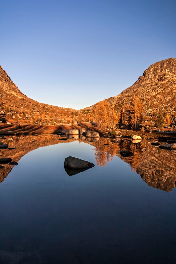 Boundary Trail larch 13 em