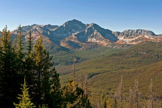 Boundary Trail larch 3 em