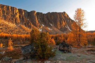 Boundary Trail larch 7 em