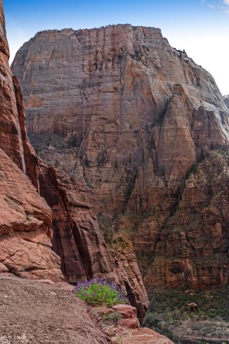 Zion National Park