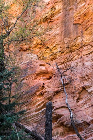 Hidden Canyon, Zion National Park