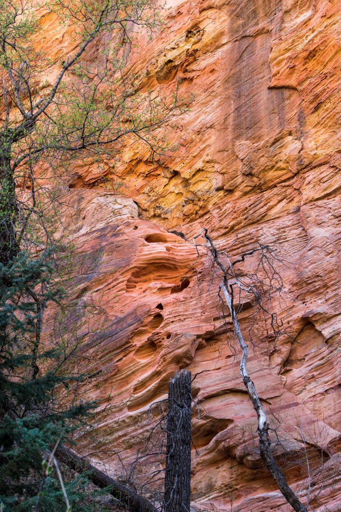Hidden Canyon, Zion National Park