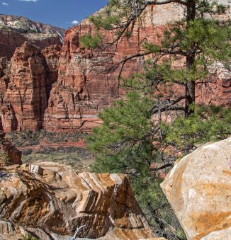 Hidden Canyon, Zion National Park