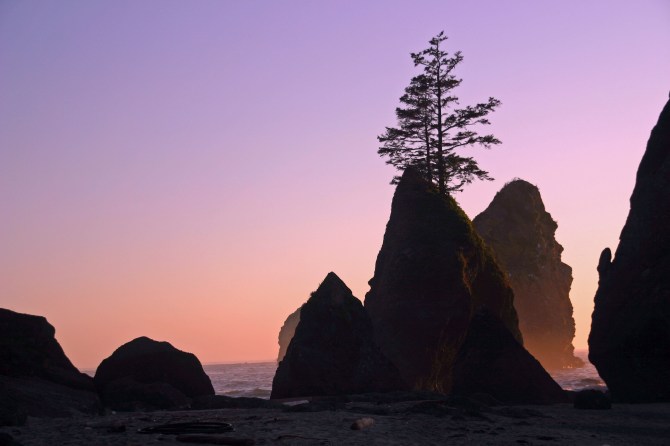 Point of the Arches, Shi Shi Beach