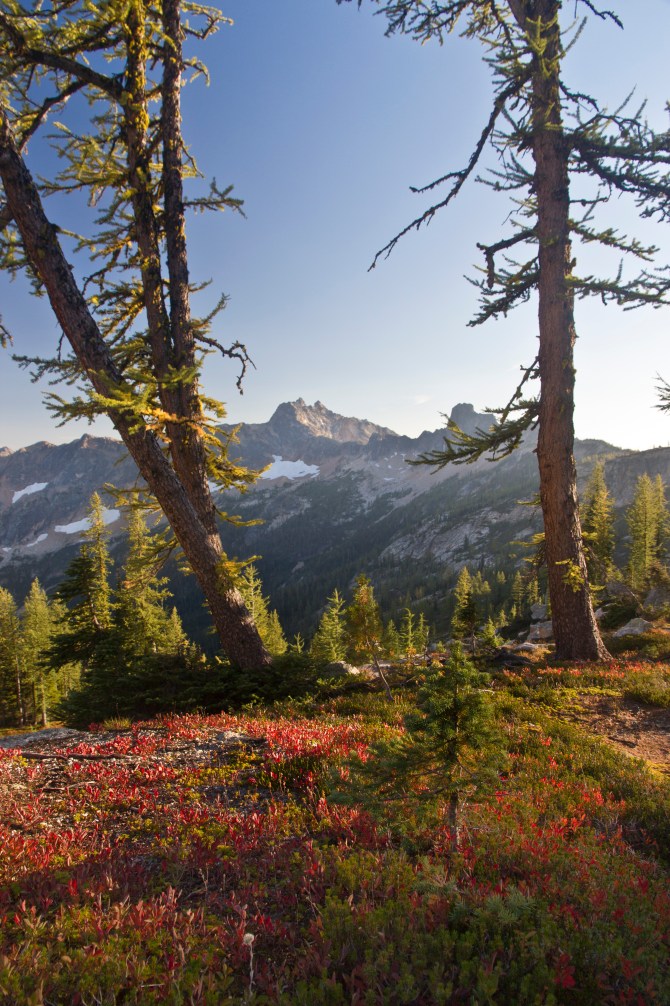 Evening at Cutthroat Pass 