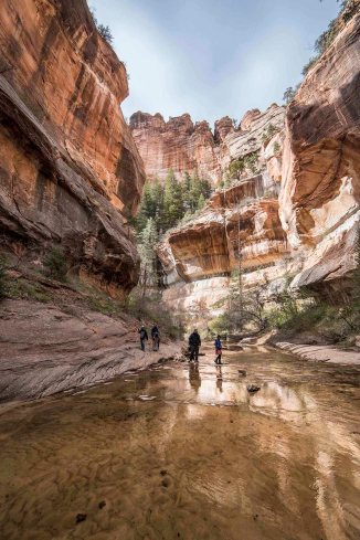 Left Fork Canyon, Zion National Park