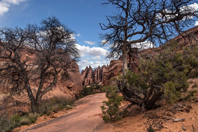 Devils Garden Trail, Arches National Park