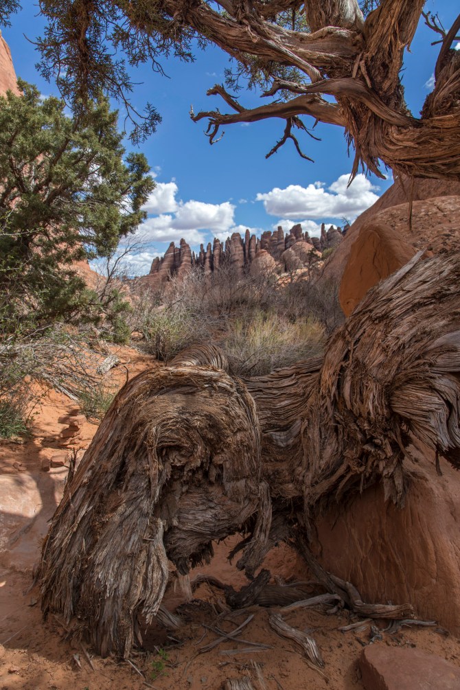 Devils Garden Trail, Arches National Park