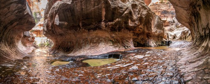 Left Fork Canyon, Zion National Park