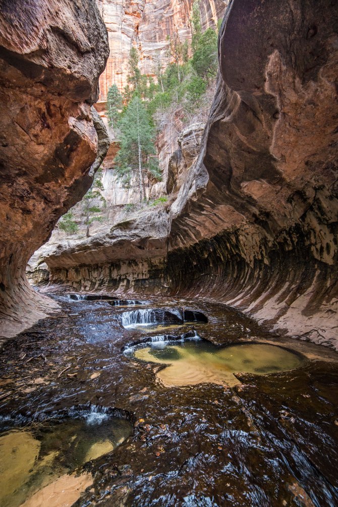 Left Fork Canyon, Zion National Park