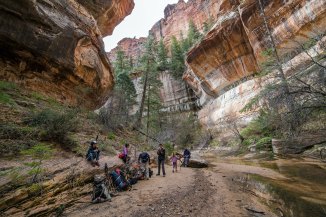 Left Fork Canyon, Zion National Park