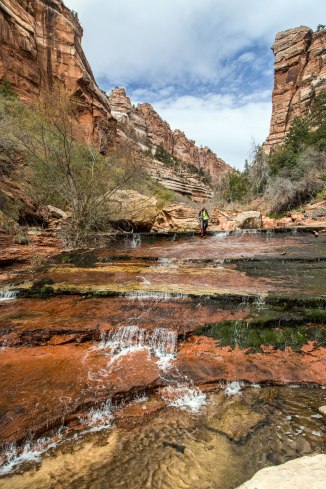 Left Fork Canyon, Zion National Park