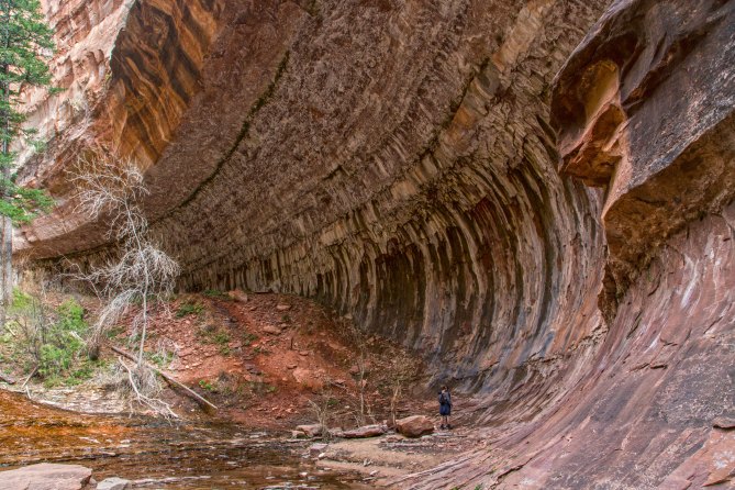 Left Fork Canyon, Zion National Park