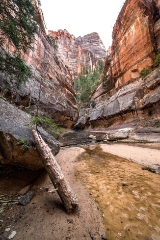 Left Fork Canyon, Zion National Park