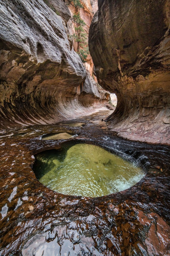 Left Fork Canyon, Zion National Park
