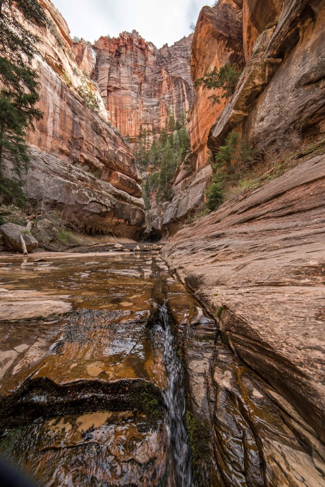 Left Fork Canyon, Zion National Park
