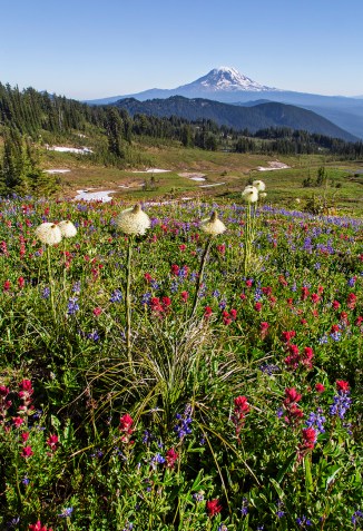 Mount Adams and Snowgrass Flats