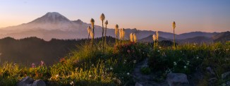 Mount Rainier and Beargrass from the Lily Basin Trail