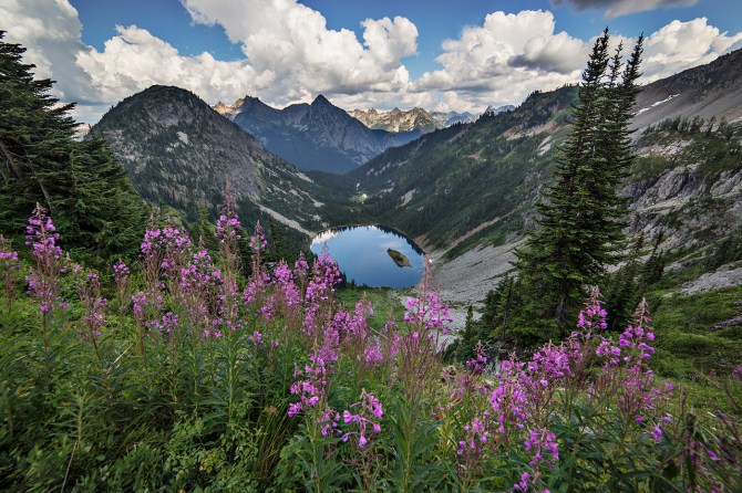 Lake Ann framed in Fireweed