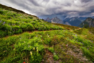 Meadows of Green and Storm Clouds