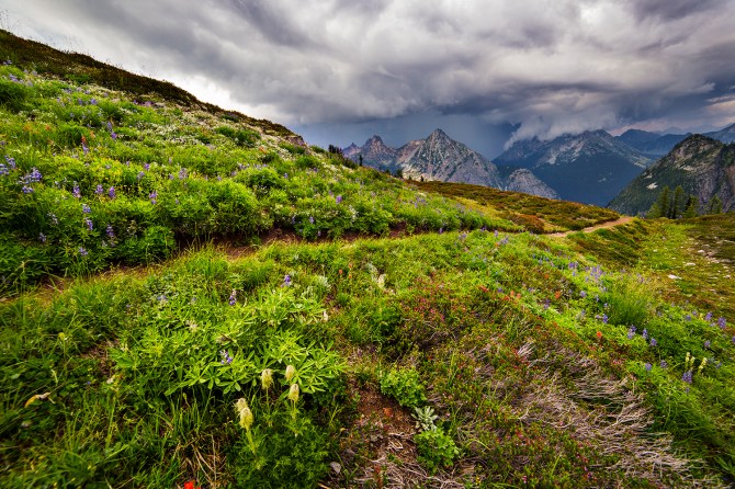Meadows of Green and Storm Clouds