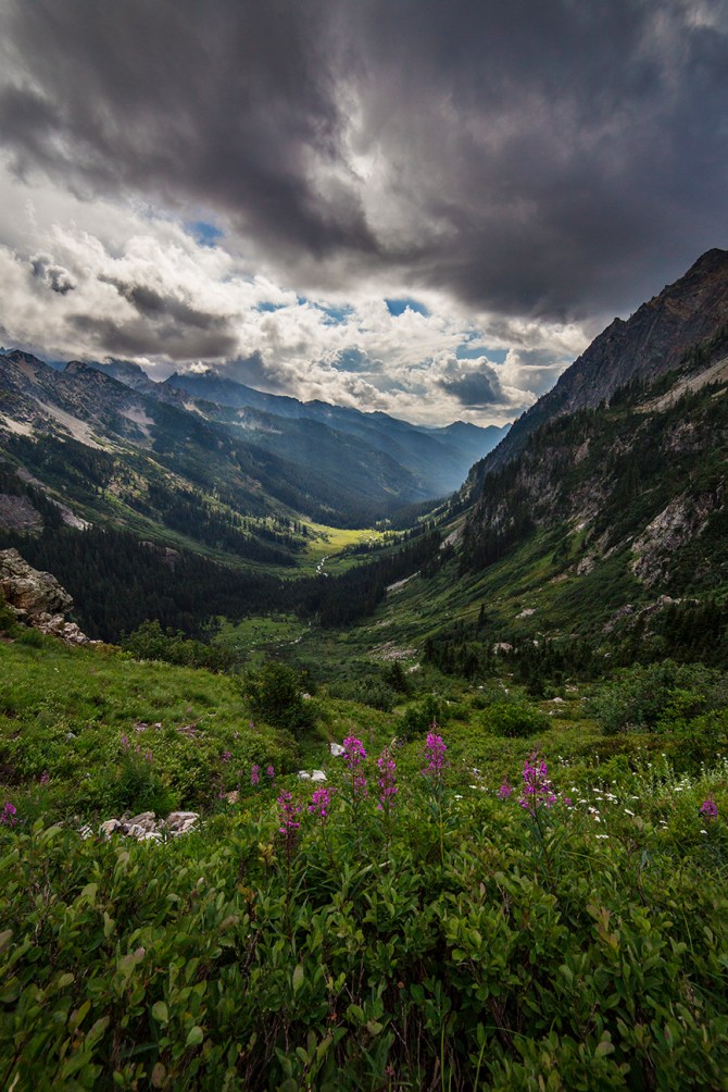 Spider Meadow from above