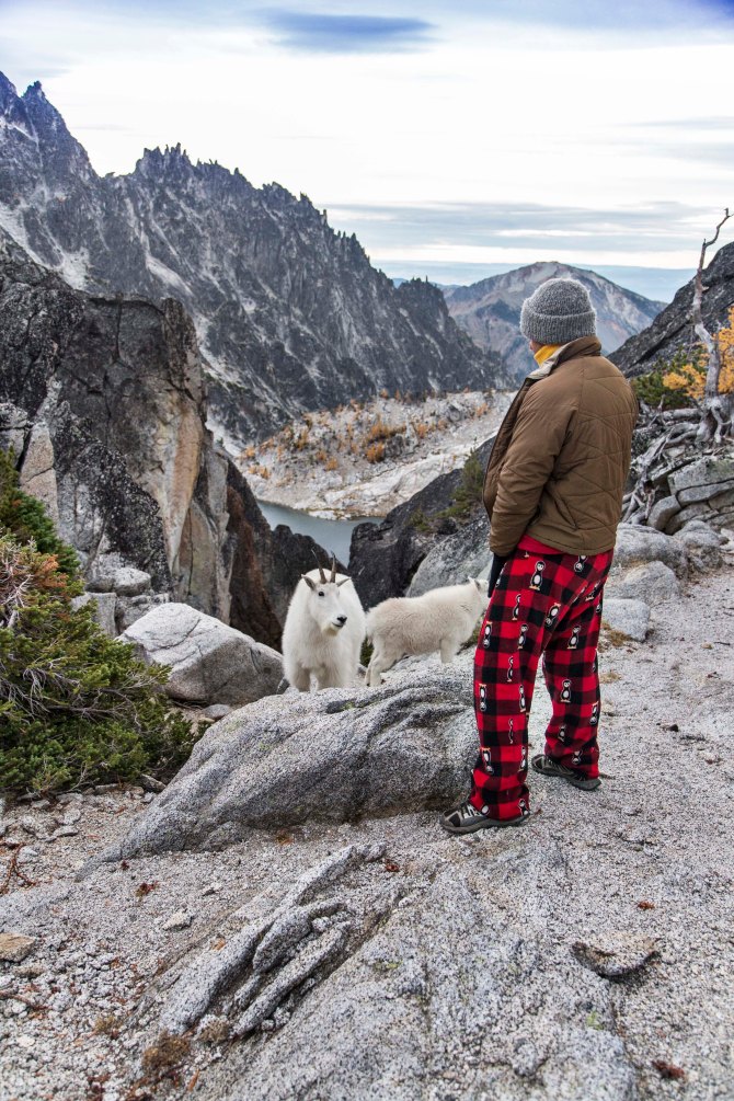 Enchantments and Mountain Goats 