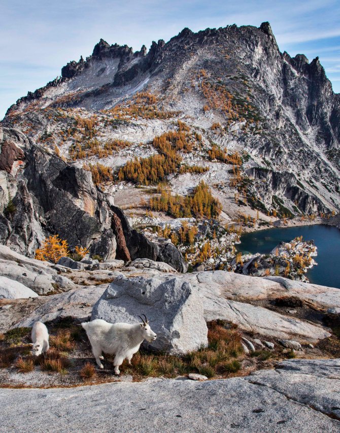 Enchantments and Mountain Goats 