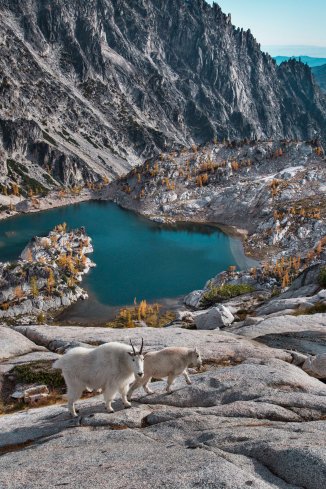 Enchantments and Mountain Goats 