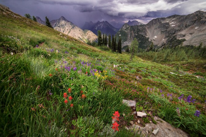 Stormy Skies along the Lake Ann - Maple Pass trail, North Cascades