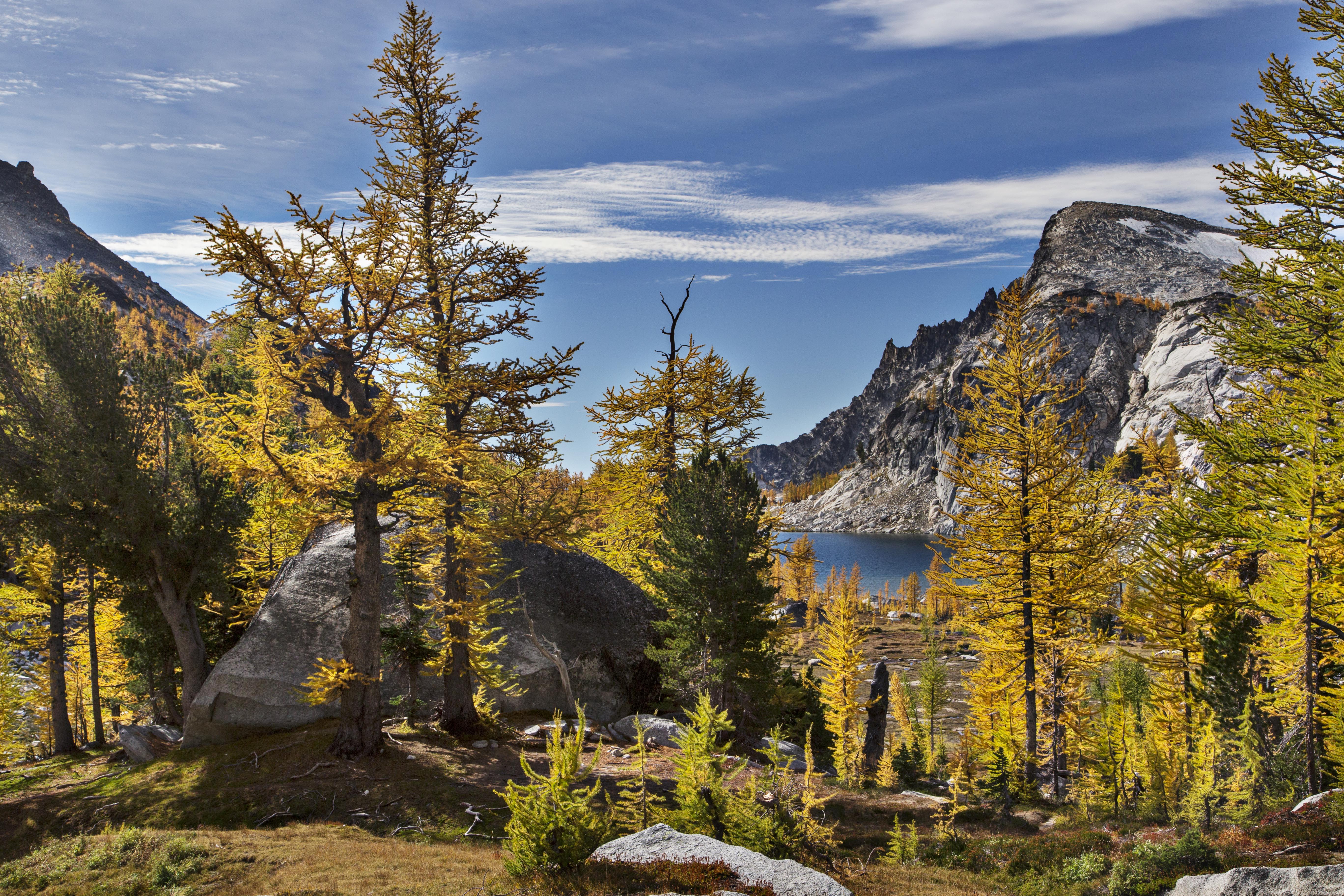 Trail to Prussik Pass