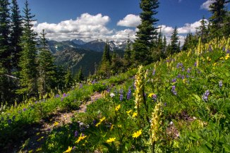 Pacific Crest Trail on Lakeview Ridge, Pasayten Wilderness